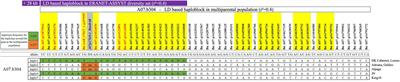 Dissection of Quantitative Blackleg Resistance Reveals Novel Variants of Resistance Gene Rlm9 in Elite Brassica napus